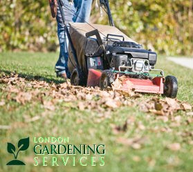 Gardening Services Liverpool: Gardening Services Liverpool