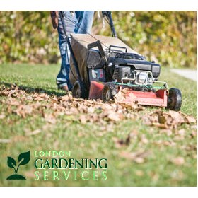 Gardening Services Liverpool: Gardening Services Liverpool